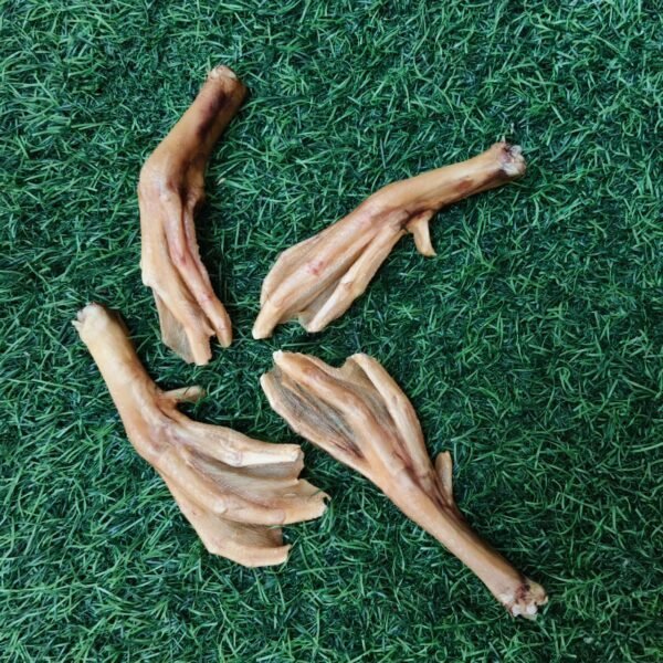 Dehydrated Duck Feet